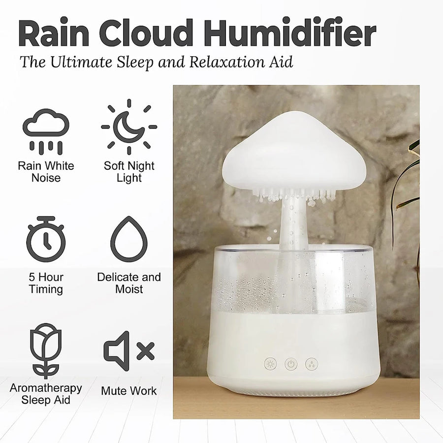 Rain Cloud Humidifier