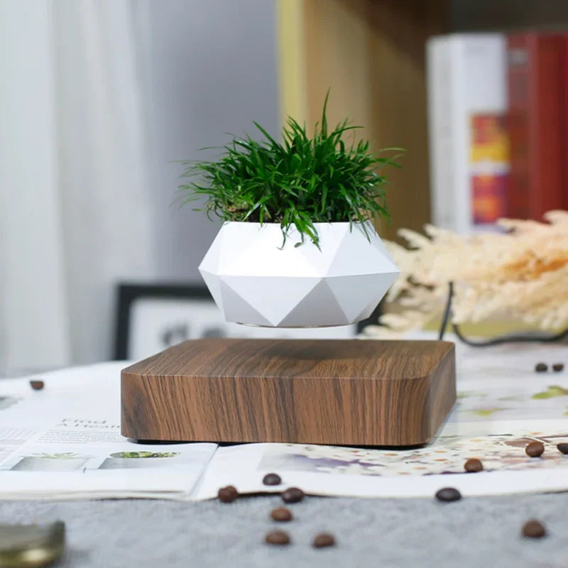 Levitation Plant Pot