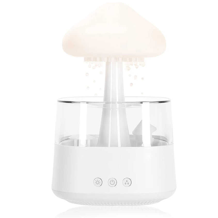 Rain Cloud Humidifier